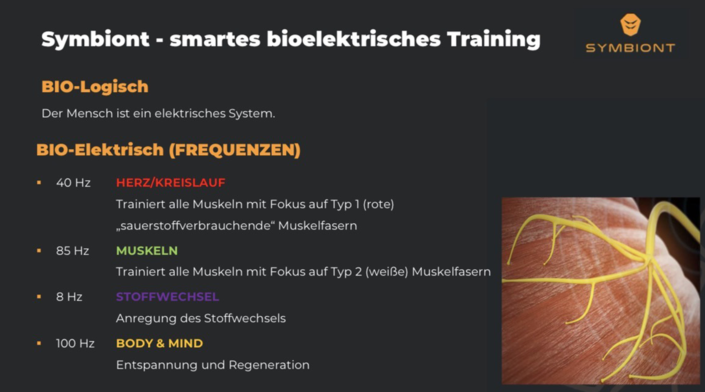 Arthur Krieger | Massagen und Gesundheitsberatungen | EMD Training